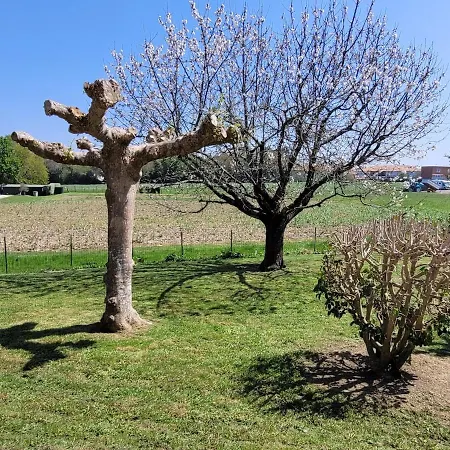 Charmante Pres Du Centre De Bayonne Et Des Plages Feriehus Boucau